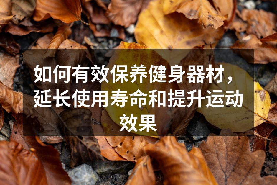 如何有效保养健身器材，延长使用寿命和提升运动效果