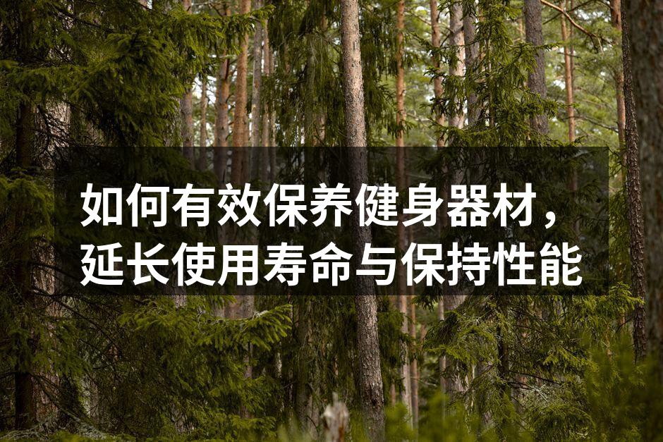 如何有效保养健身器材，延长使用寿命与保持性能