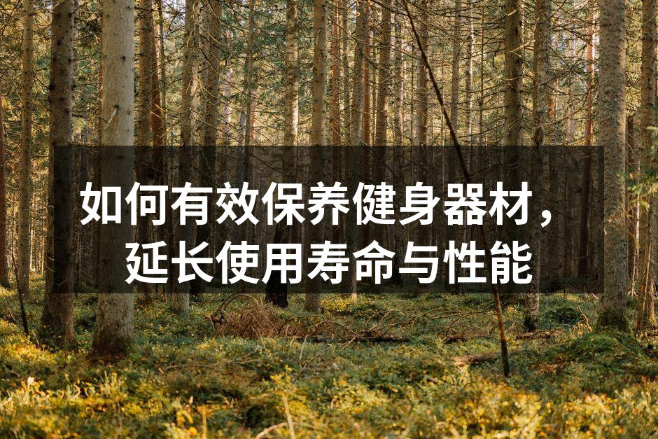 如何有效保养健身器材，延长使用寿命与性能