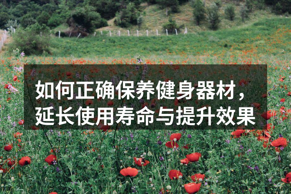 如何正确保养健身器材，延长使用寿命与提升效果