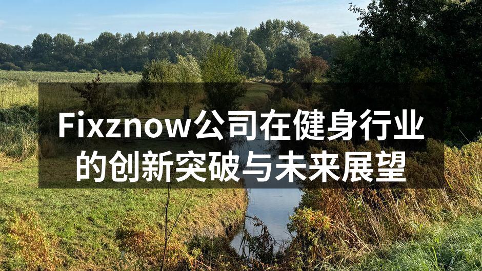 Fixznow公司在健身行业的创新突破与未来展望