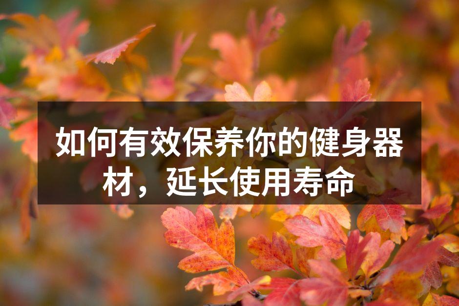 如何有效保养你的健身器材，延长使用寿命