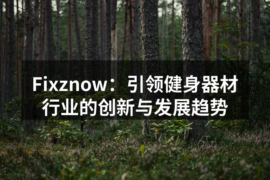 Fixznow：引领健身器材行业的创新与发展趋势